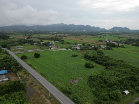 ขาย ที่ดิน โฉนดครุฑแดง
ฟรีค่าโอน ค่าภาษีเฟส 93 พุคำจาน 1 ไร่ น้ำปะปา ไฟฟ้า พร้อม รูปที่ 2