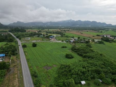 ขาย ที่ดิน โฉนดครุฑแดง
ฟรีค่าโอน ค่าภาษีเฟส 93 พุคำจาน 1 ไร่ น้ำปะปา ไฟฟ้า พร้อม รูปที่ 4