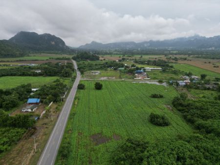 ขาย ที่ดิน โฉนดครุฑแดง
ฟรีค่าโอน ค่าภาษีเฟส 94 พุคำจาน 1 ไร่ น้ำประปา ไฟฟ้า พร้อม รูปที่ 1