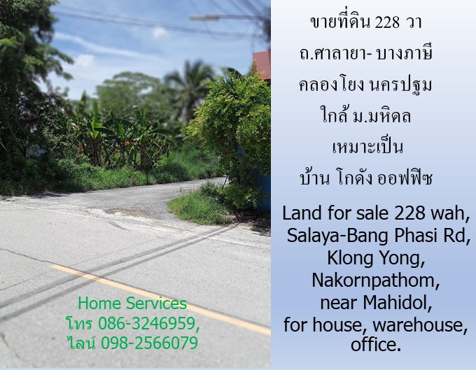 ขายที่ดิน 228 วา ถ.ศาลายา- บางภาษี คลองโยง นครปฐม ใกล้ ม.มหิดล เหมาะเป็นบ้าน โกดัง ออฟฟิซ รูปที่ 4