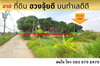 รูปย่อ ขายที่ดินฮวงจุ้ยดีในซอยอ่อนนุช 70-1 แยก 2 ใกล้ ถ.พัฒนาการ เนื้อที่ 381 ตารางวา รูปที่3