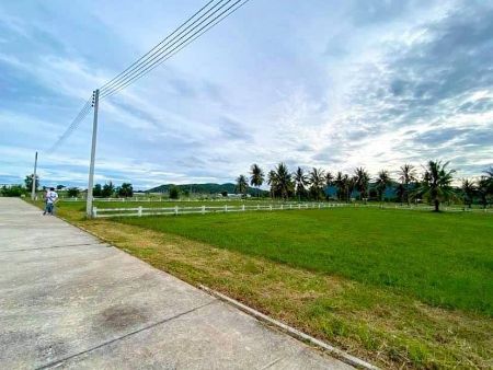 ขาย ที่ดิน โฉนดครุฑแดงชะอำ 100 ตร.วา ใกล้หาดชะอำ ใกล้แหล่งท่องเที่ยว รูปที่ 2