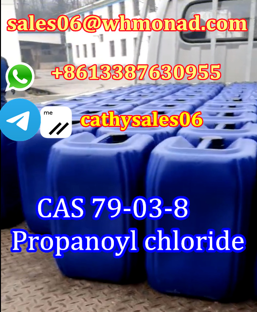 special line deliver to Mexico Propionyl Chloride cas 79-03-8 รูปที่ 1