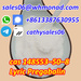 รูปย่อ China Factory Supply 99% Lyric Pregabalin Powder CAS 148553-50-8 รูปที่2