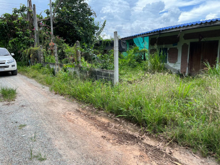 ขายบ้านพร้อมที่ดินหนองอิรุณ 1 ไร่ ใกล้ถนนเส้นสัตหีบ - พนมสารคาม(331) - 300 เมตร อ.บ้านบึง จ.ชลบุรี รูปที่ 2