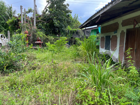 ขายบ้านพร้อมที่ดินหนองอิรุณ 1 ไร่ ใกล้ถนนเส้นสัตหีบ - พนมสารคาม(331) - 300 เมตร อ.บ้านบึง จ.ชลบุรี รูปที่ 6