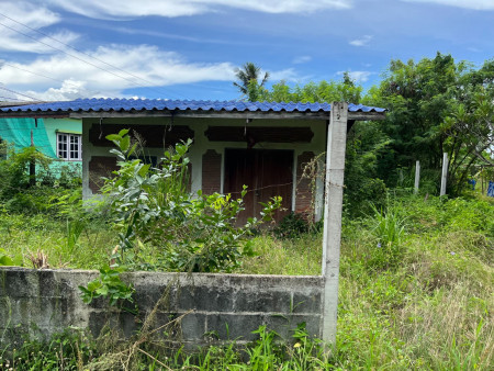 ขายบ้านพร้อมที่ดินหนองอิรุณ 1 ไร่ ใกล้ถนนเส้นสัตหีบ - พนมสารคาม(331) - 300 เมตร อ.บ้านบึง จ.ชลบุรี รูปที่ 5