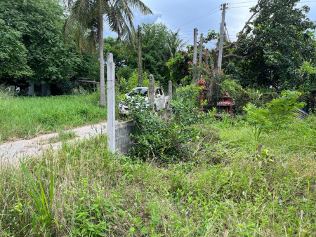 ขายบ้านพร้อมที่ดินหนองอิรุณ 1 ไร่ ใกล้ถนนเส้นสัตหีบ - พนมสารคาม(331) - 300 เมตร อ.บ้านบึง จ.ชลบุรี รูปที่ 3