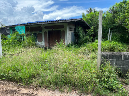 ขายบ้านพร้อมที่ดินหนองอิรุณ 1 ไร่ ใกล้ถนนเส้นสัตหีบ - พนมสารคาม(331) - 300 เมตร อ.บ้านบึง จ.ชลบุรี รูปที่ 4