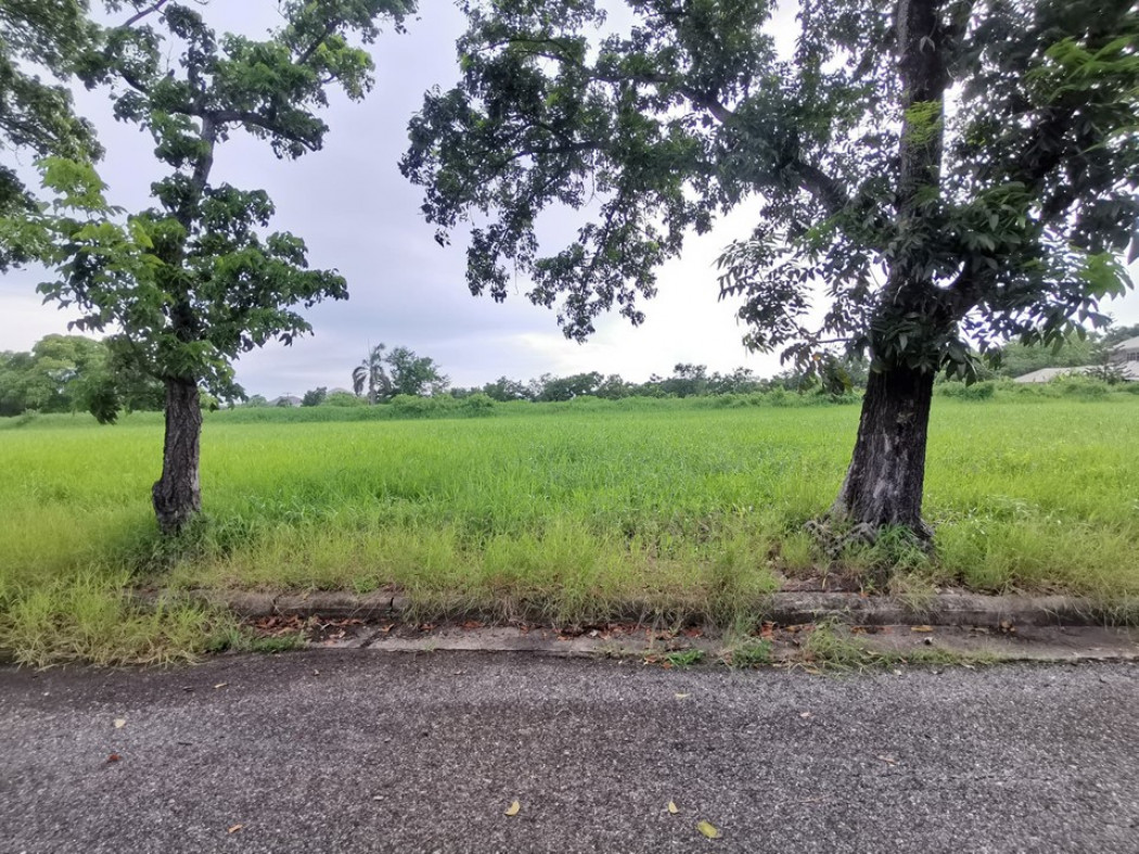 ขาย ที่ดิน ในสนามกอล์ฟ เลควูด Lakewood ซอย 16 ขนาด 1 ไร่ แปลงสวยสี่เหลี่ยม อยู่ในโครงการหรูมีระดับ เป็นส่วนตัว เหมาะสร้างบ้าน รูปที่ 6