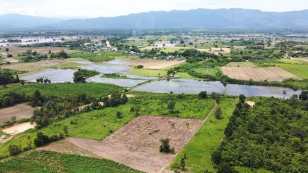 ขาย ที่ดิน โฉนดครุฑ​แดง​ นส​ 4 จ.ตาก 2 ไร่ วิวภูเขาล้อมรอบ ที่ดินเป็นที่เนินสวยน้ำไม่ท่วม รูปที่ 4