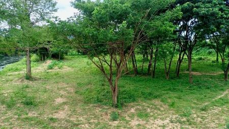 ขาย ที่ดิน ติดแม่น้ำเพชรบุรีท่ายาง 1 ไร่ วิวน้ำ วิวเขา ต้นไม้ร่มรื่น รูปที่ 5