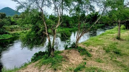ขาย ที่ดิน ติดแม่น้ำเพชรบุรีท่ายาง 1 ไร่ วิวน้ำ วิวเขา ต้นไม้ร่มรื่น รูปที่ 3