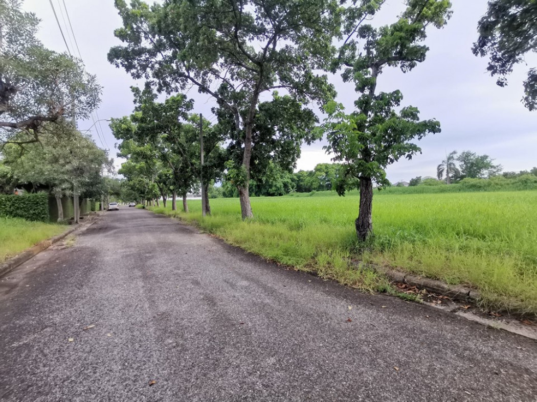 ขาย ที่ดิน ในสนามกอล์ฟ เลควูด Lakewood ซอย 16 ขนาด 1 ไร่ แปลงสวยสี่เหลี่ยม อยู่ในโครงการหรูมีระดับ เป็นส่วนตัว เหมาะสร้างบ้าน รูปที่ 4