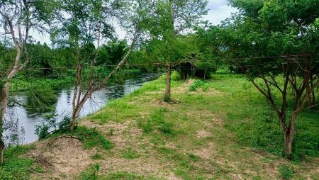 ขาย ที่ดิน ติดแม่น้ำเพชรบุรีท่ายาง 1 ไร่ วิวน้ำ วิวเขา ต้นไม้ร่มรื่น รูปที่ 4