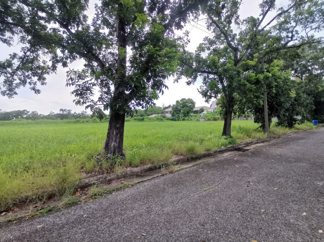 ขาย ที่ดิน ในสนามกอล์ฟ เลควูด Lakewood ซอย 16 ขนาด 1 ไร่ แปลงสวยสี่เหลี่ยม อยู่ในโครงการหรูมีระดับ เป็นส่วนตัว เหมาะสร้างบ้าน รูปที่ 7