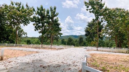 ขาย ที่ดิน ทำเลทอง โฉนดพร้อมโอนติดแม่น้ำวัง 100 ตร.วา ใกล้แหล่งท่องเที่ยว น้ำตก อุทยานหลวง รูปที่ 4