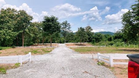 ขาย ที่ดิน ทำเลทอง โฉนดพร้อมโอนติดแม่น้ำวัง 100 ตร.วา ใกล้แหล่งท่องเที่ยว น้ำตก อุทยานหลวง รูปที่ 5