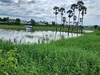 รูปย่อ ขาย ที่ดิน 4 แยก ราชพฤกษ์ ชัยพฤกษ์ ต. บางพลับ อ. ปากเกร็ด จ. นนทบุรี รูปที่2