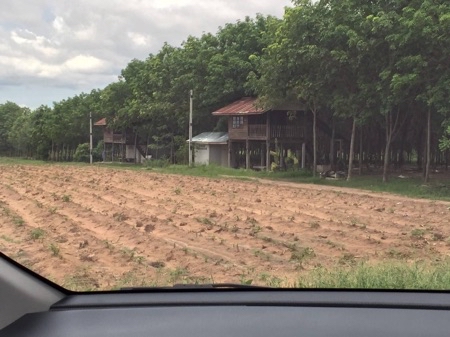 ขาย ที่ดิน ติดถนนมิตรภาพ4เลนที่ดินพร้อมสวนยาง 15 ไร่ 1 งาน 23 ตร.วา รูปที่ 6