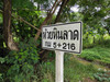 รูปย่อ ขาย ที่ดิน 40 ไร่ 1 งาน 49.5 ตร.วา หน้ากว้างติดถนน 290 ม รูปที่4