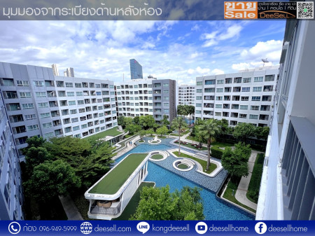 ขายElio Del Ray Sukhumvit 64 ตึก H ห้องหายาก หลุดมา ชั้น 7 วิวสระว่ายน้ำ รูปที่ 3