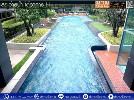 ขายElio Del Ray Sukhumvit 64 ตึก H ห้องหายาก หลุดมา ชั้น 7 วิวสระว่ายน้ำ รูปที่ 11