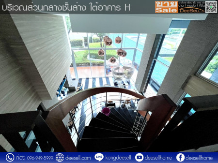 ขายElio Del Ray Sukhumvit 64 ตึก H ห้องหายาก หลุดมา ชั้น 7 วิวสระว่ายน้ำ รูปที่ 10
