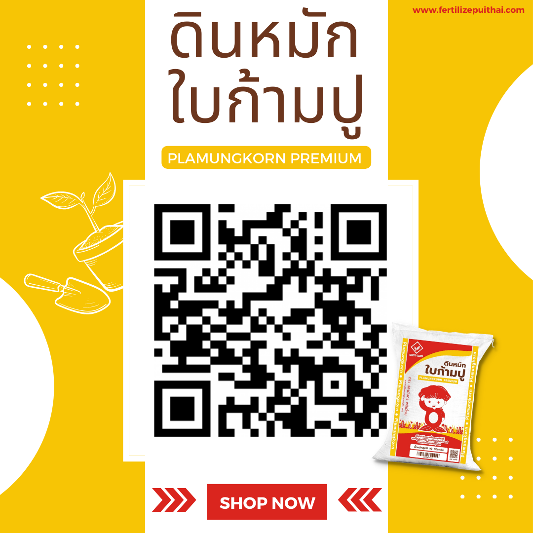 ดินหมักใบก้ามปู PlamungKorn Premium รูปที่ 7
