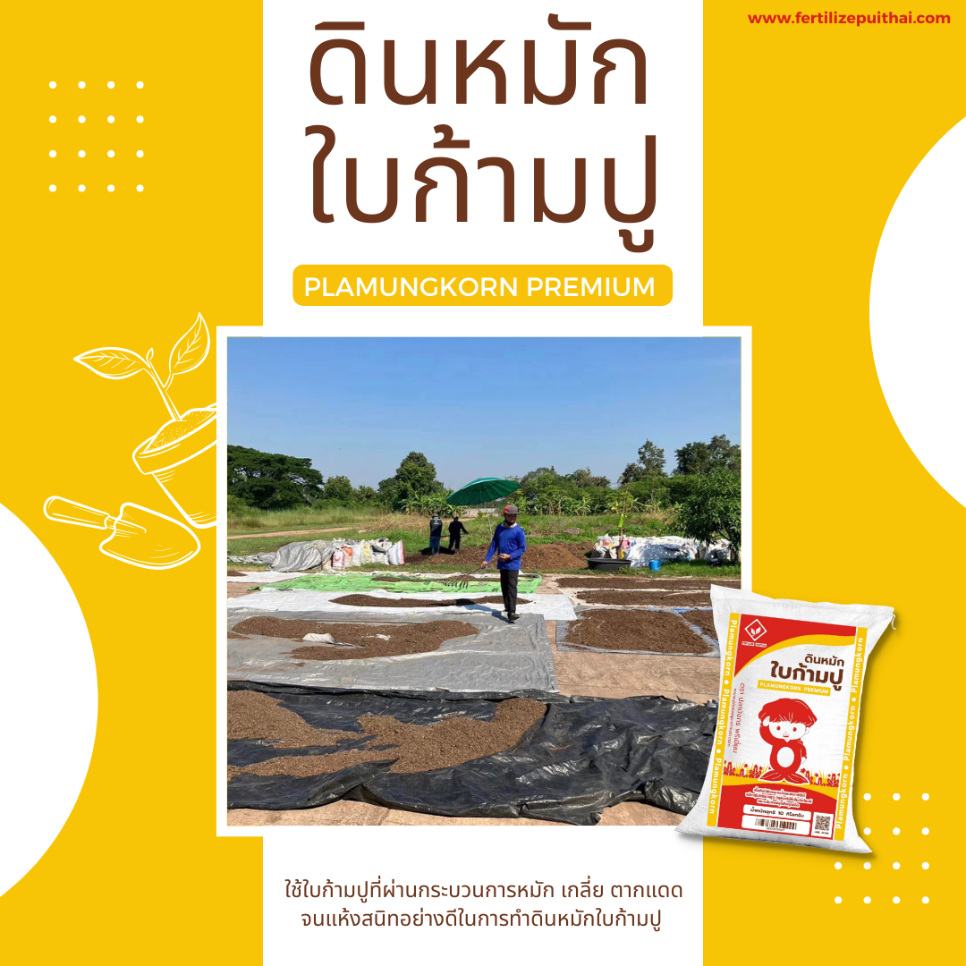 ดินหมักใบก้ามปู PlamungKorn Premium รูปที่ 4