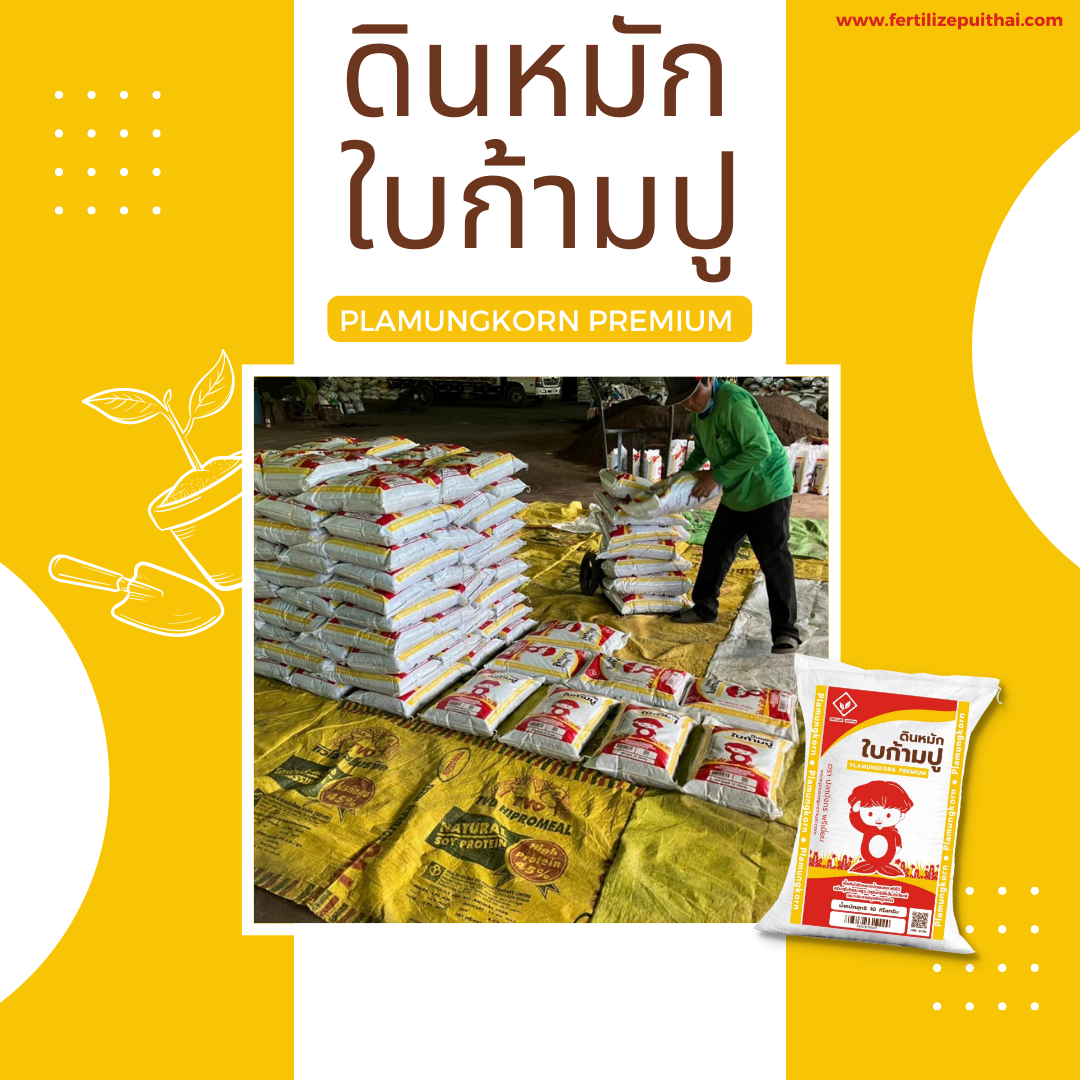 ดินหมักใบก้ามปู PlamungKorn Premium รูปที่ 5