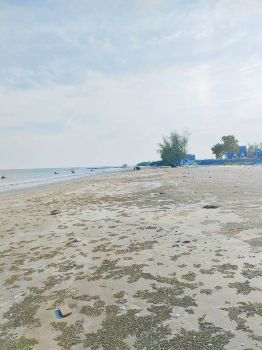 ขาย ที่ดิน ทำเลศักยภาพ วิวสวยติดทะเลกุยเหนือ 1 ไร่ ค่าโอนคนล่ะครึ่ง
เอกสารสิทธิ์เป็นโฉนด รูปที่ 5