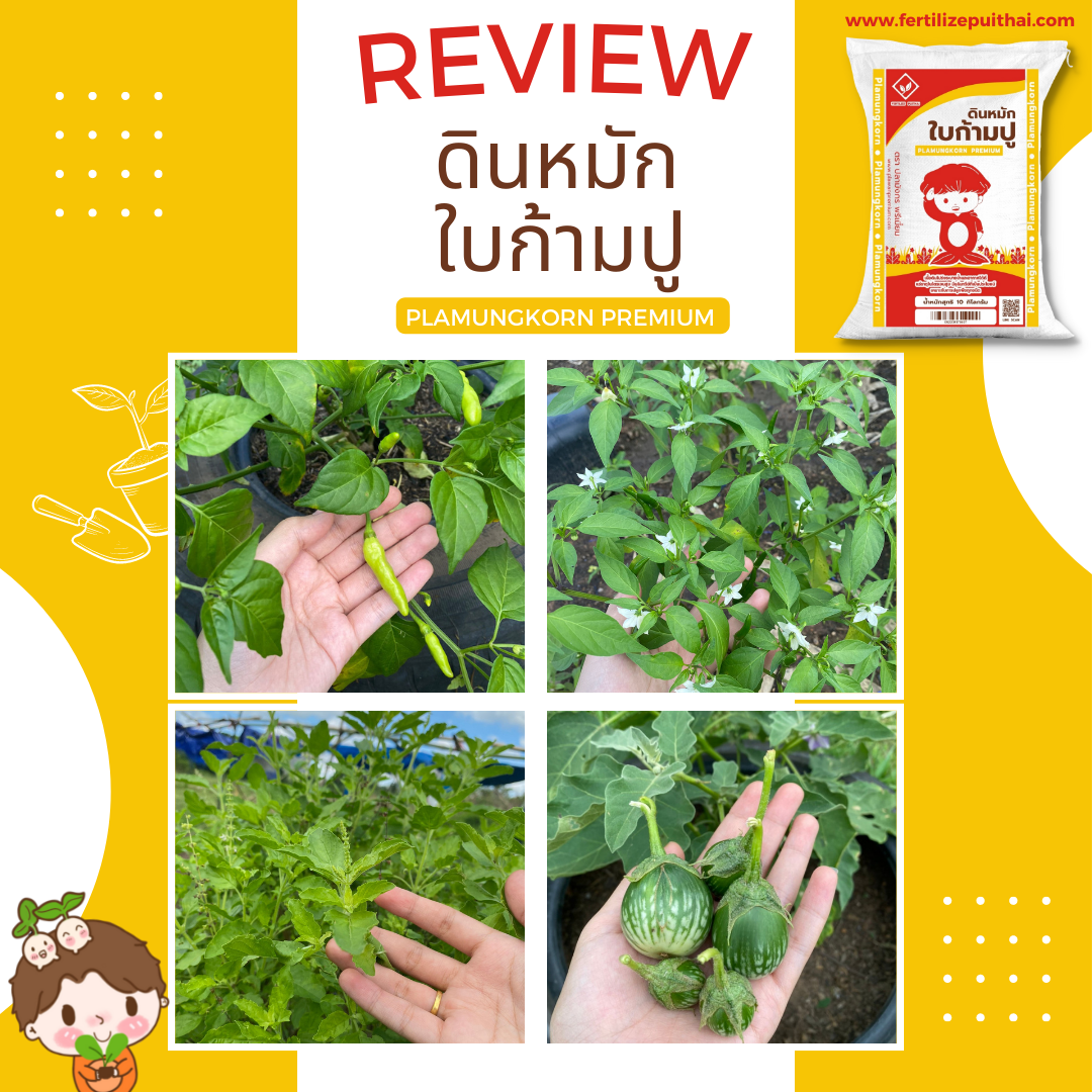 ดินหมักใบก้ามปู PlamungKorn Premium รูปที่ 6