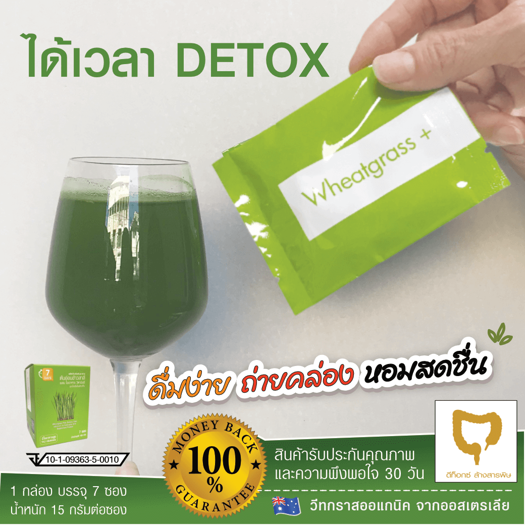 Wheatgrass+ ต้นอ่อนข้าวสาลี รูปที่ 3