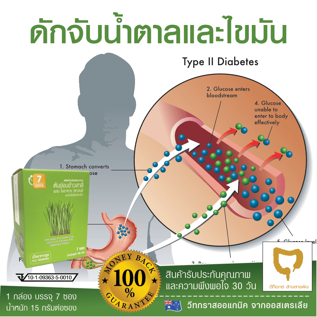 Wheatgrass+ ต้นอ่อนข้าวสาลี รูปที่ 4