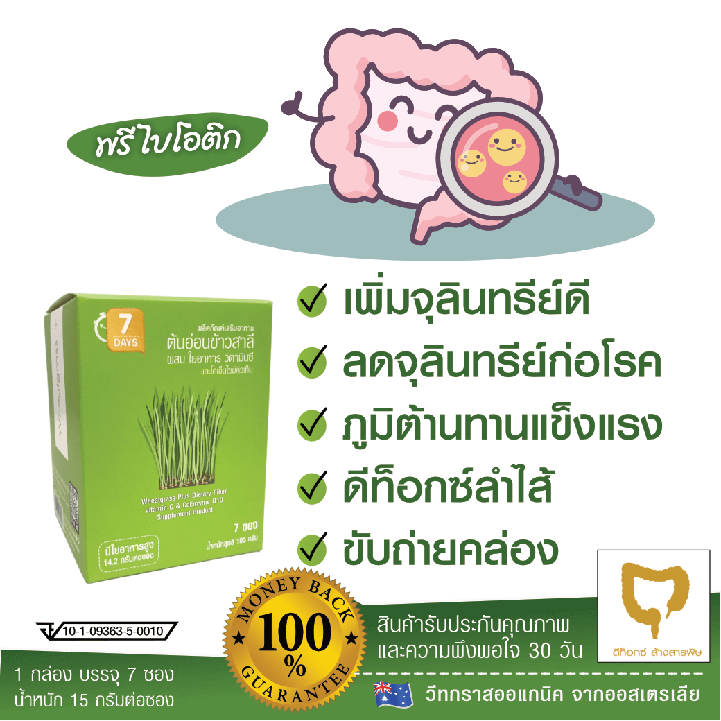 Wheatgrass+ ต้นอ่อนข้าวสาลี รูปที่ 6