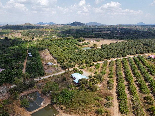 ขายที่ดินสวนลำไยพร้อมบ้านพักหลังใหญ่ บรรยากาศดี ทำเลดี ติดถนน จ.จันทบุรี รูปที่ 1