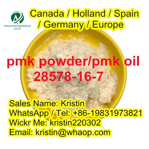 Cas28578-16-7 new PMK powder in stock รูปที่ 1