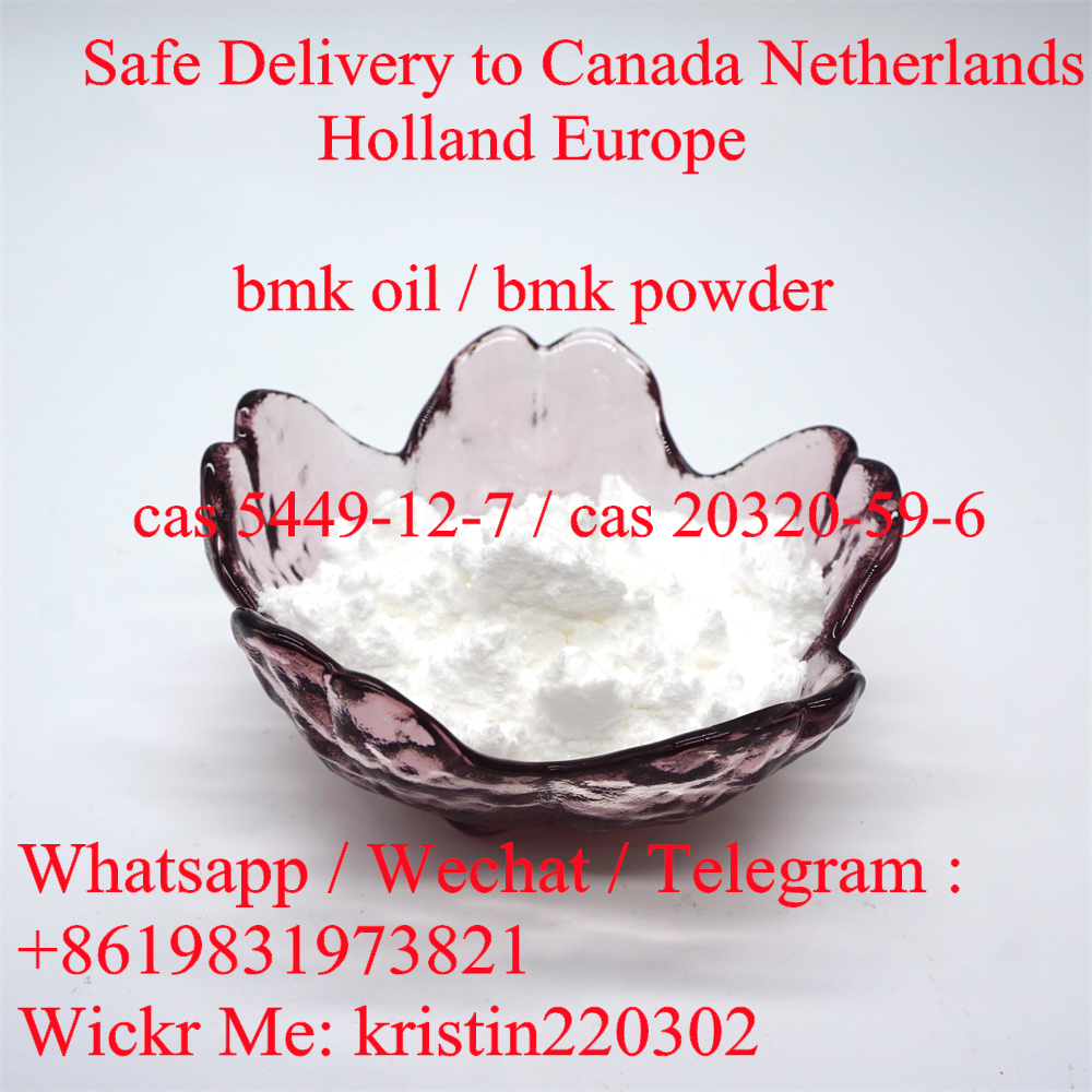 Hot Sale Holland BMK Powder Netherlands New BMK Glycidate Powder CAS 5449-12-7 Canada New BMK Oil CAS 20320-59-6 รูปที่ 1
