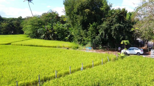 ขายที่ดินพร้อมบ่อน้ำพุร้อน เหมาะสำหรับทำธุรกิจ แม่ออน เชียงใหม่ เจ้าของขายเอง รูปที่ 1