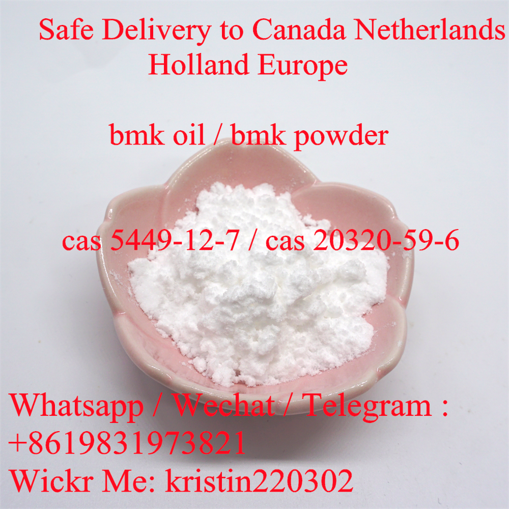 New BMK Glycidate Powder CAS 5449-12-7  รูปที่ 1