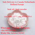 New BMK Glycidate Powder CAS 5449-12-7 