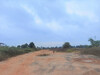 รูปย่อ ขาย ที่ดิน ME276 ผัง EEC สีม่วงลาย นิคมอมตะชลบุรี เฟส6 พานทอง ชลบุรี . 18 ไร่ 2 งาน 80 ตร.วา ที่ปรับถมแล้ว ห่างถนน 3346 เพียง 1 Km. รูปที่2