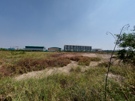ขาย ที่ดินถมแล้ว ในโครงการอยู่เจริญ ท่าจีน 7 ไร่ 2 งาน 6.7 ตร.วา รูปที่ 7