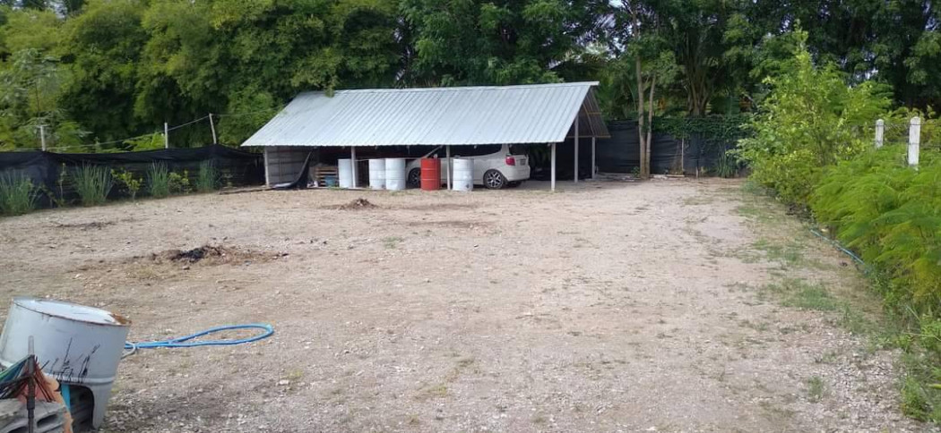 ขายบ้านพร้อมที่ดินและกิจการ เนื้อที่ 200 ตรว ปากช่อง จอมบึง ราชบุรี รูปที่ 2