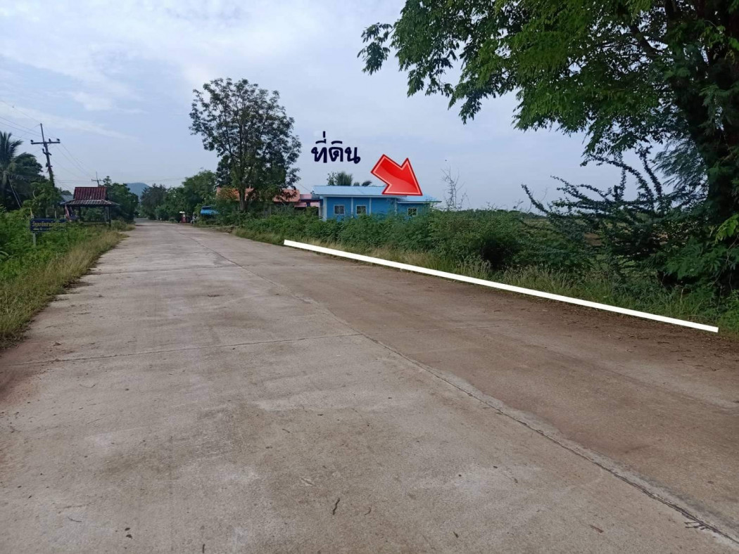 ขายที่ดินสวยราคาถูก บรรยากาศดีมาก ใกล้อบต.น้ำร้อน เนื้อที่ 10 ไร่ 2 งาน เหมาะปลูกบ้าน รีสอร์ท ที่ดินแบ่งขาย รูปที่ 2