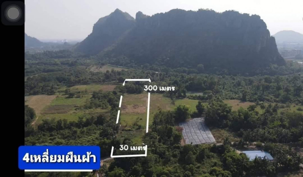 ขายที่ดินสวย เห็นวิวภูเขาสวย เนื้อที่ 8 ไร่ 71 ตรว หนองกระทุ่ม ปากท่อ ราชบุรี เหมาะปลูกบ้านสวน รีสอร์ท การเกษตร รูปที่ 5