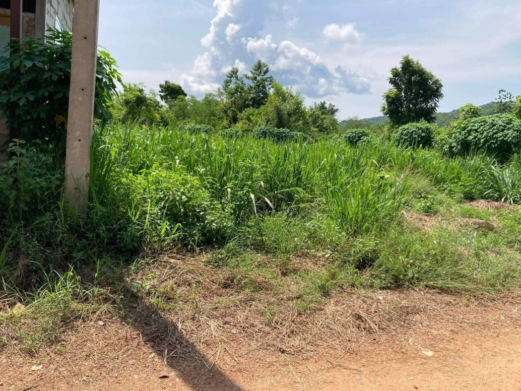 ขายที่ดินสวย ถมแล้ว ตัวเมืองกาญจบุรี เนื้อที่ 70 ตรว หนองบัว เมืองกาญจนบุรี เหมาะปลูกบ้าน รูปที่ 5