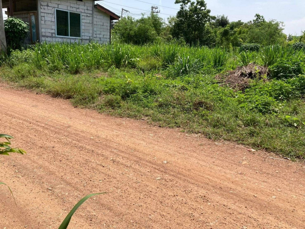 ขายที่ดินสวย ถมแล้ว ตัวเมืองกาญจบุรี เนื้อที่ 70 ตรว หนองบัว เมืองกาญจนบุรี เหมาะปลูกบ้าน รูปที่ 6