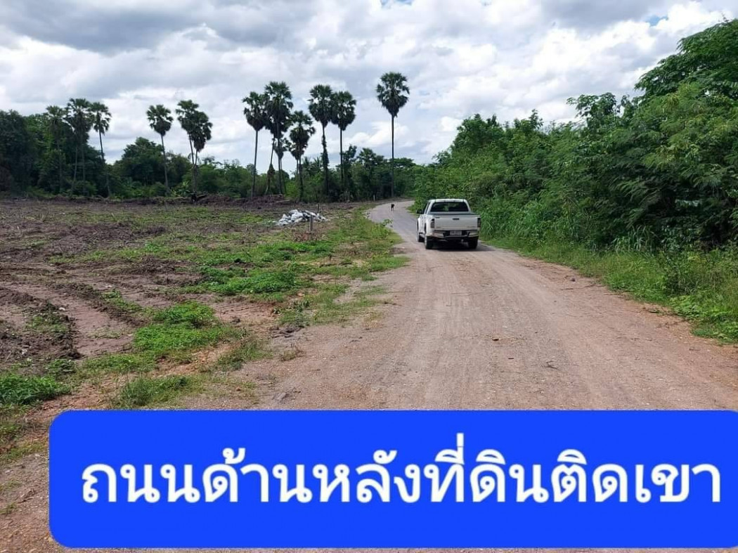 ขายที่ดินสวย เห็นวิวภูเขาสวย เนื้อที่ 8 ไร่ 71 ตรว หนองกระทุ่ม ปากท่อ ราชบุรี เหมาะปลูกบ้านสวน รีสอร์ท การเกษตร รูปที่ 6